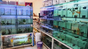 اکواریوم جزیره 4
