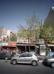 گل سرای شبنم