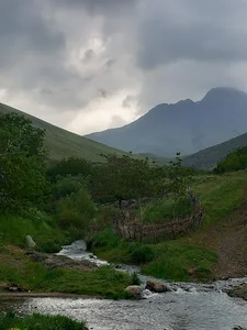 حاج رضا شمسی