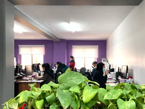شرکت منتا