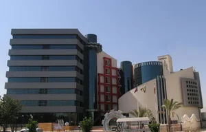 Dalin Trading Company شرکت دالین تجارت