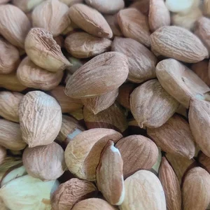 آجیل و خشکبار بابایی - بابآجیل 2