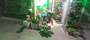 گلفروشی ترگل 3