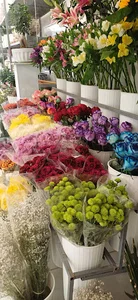 گلفروشی پیونی