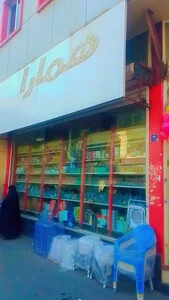 پلاسکو الی 3