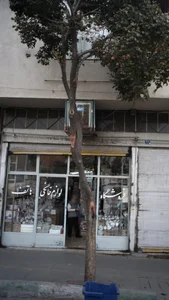 لوازم خانگی هاتف