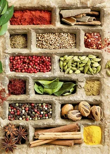 سید قاسم عطار