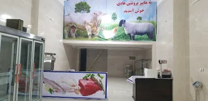 هایپر پروتئین هادی