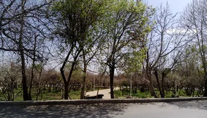 بوستان باغ سیب زار