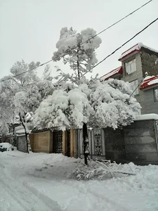 مبلمان پارسا