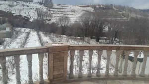 اجاره ویلا باغ سپیدان 5