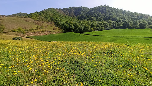 آرامگاه روستای مرزبن