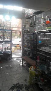 پرنده سرای دیبا