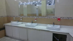 سرویس بهداشتی