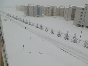بلوک 32 کارمندان