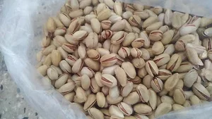 آجیل خوشکبار کریمی