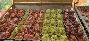 هایپر میوه شاه توت 2
