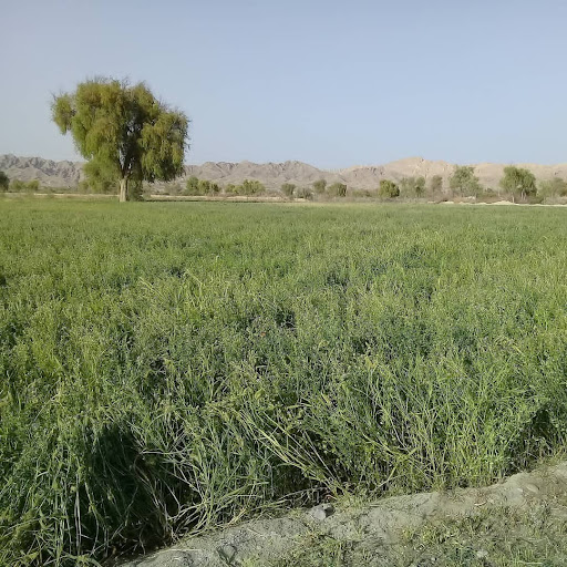روستای میاندر