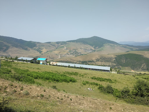 شرکت چوب فریم