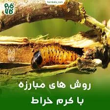 کارگاه تولیدی صنایع چوبی سنجاب وود | SanjabWood