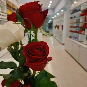 طیطه ناد