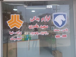 لوازم یدکی سعید عامری