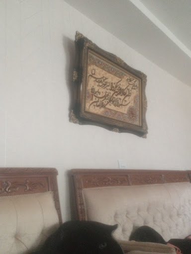 دانشور زنجان