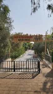 آکادمی ایران مونته‌سوری