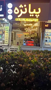 تعمیرات تلویزیون پیانژه