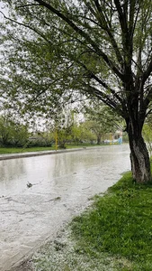 سیمان هگمتان