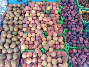 میوه فروشی باغ بهشت 3