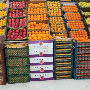 سوپر میوه شهروند