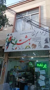 پرنده سرای بهشت (wave club)