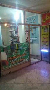 البرز الکترونیک 5