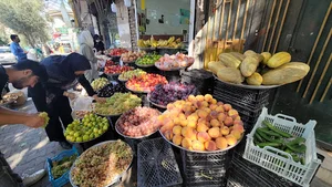 میوه ارگانیک. قاسمی