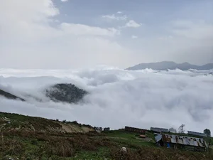 مرکیه