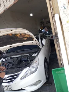 لنت کوبی امیر