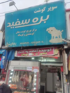قصابی بره سفید