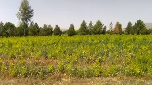 اداره منابع طبیعی ملایر