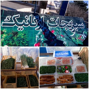 سبزیجات ارگانیک