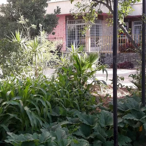 دبستان دخترانه سازندگان فردا