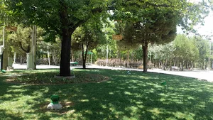 بوستان جنگلی طرق