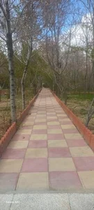 بوستان بیمارستان امیر المومنین 2