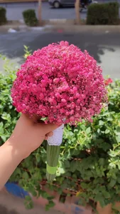 گلفروشی رزلند 4