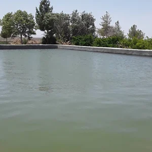 استخر محسن آباد شهرستان تفتان