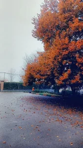دانشکده کشاورزی 4