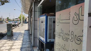 نان شیرینی و یوخه گندم