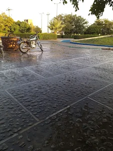 بوستان گلستان