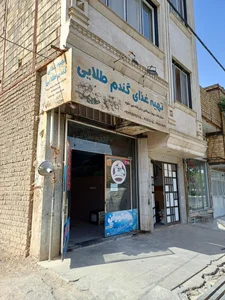 تهیه غذای گندم طلایی 3