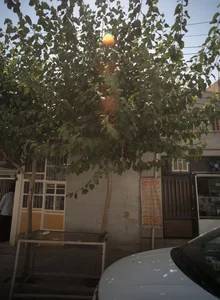 نان برکت مسجدی 2
